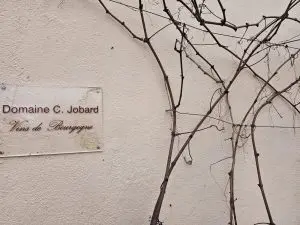 A wall-mounted sign Domaine G. Jobard Vins de Bourgogne beside dried vine branches on a textured wall