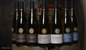 An array of Domaine Des Genèves lined up next to one another.