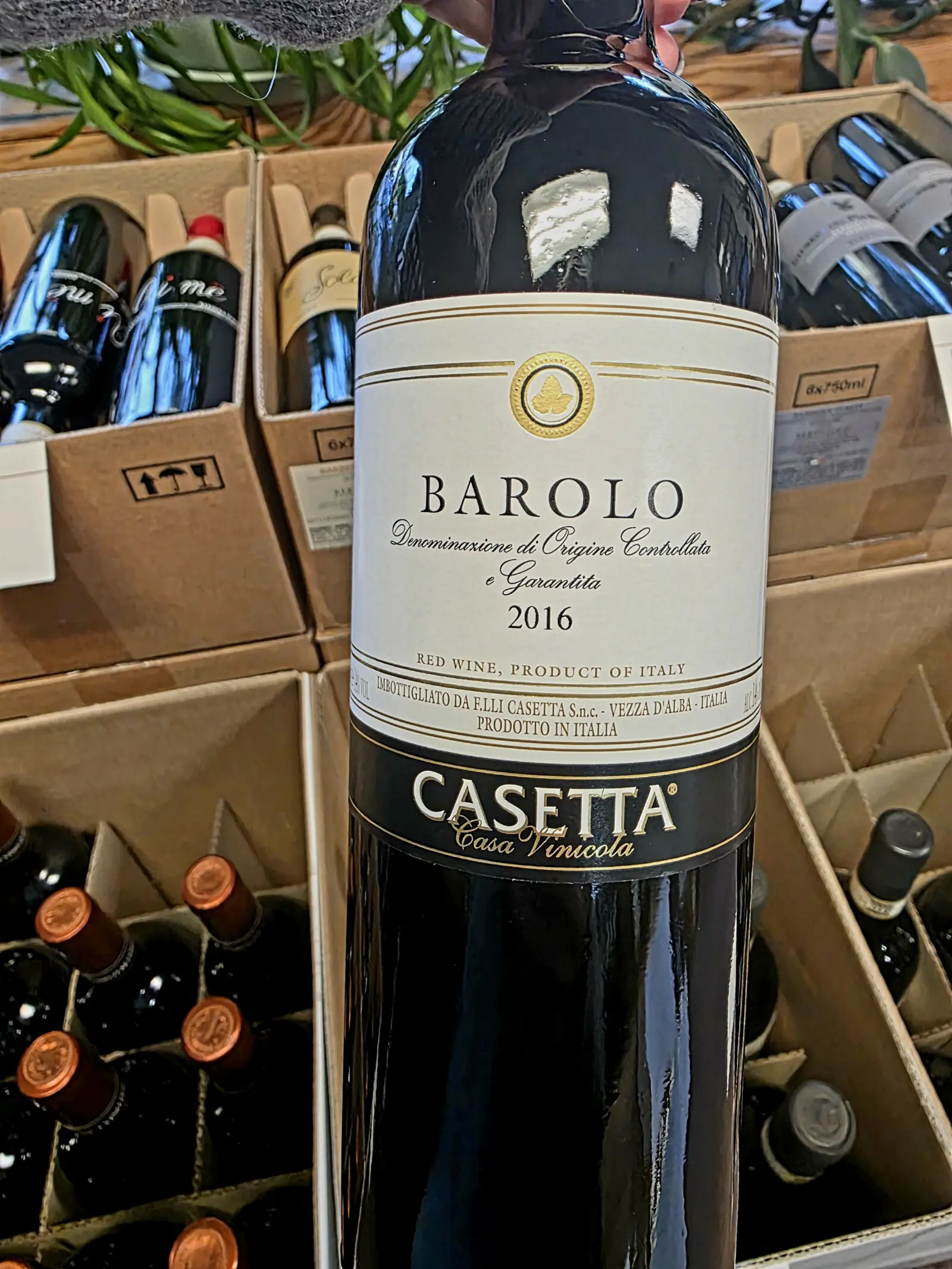 Casetta Barolo 2016 $56