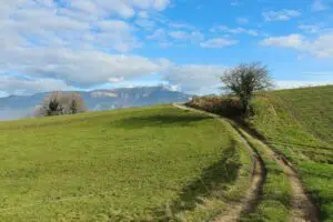 A winding country lane cuts through green hills beneath a bright blue sky and soft clouds, a calm, open-air countryside scene.