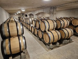 Rows of Burgundy wine barrels stored in a dimly lit, underground cellar with concrete walls and floor.