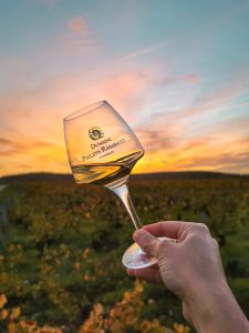 A hand holding a glass of Loire Valley wine against a sunset over vineyards.