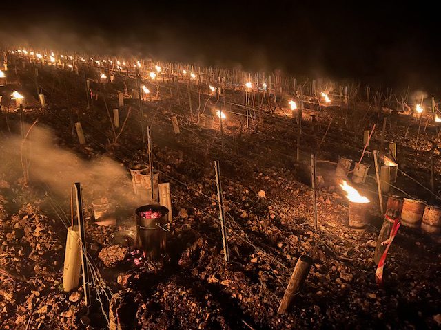 Fires burn in a vineyard. They are candles to warm the vines in the frost.