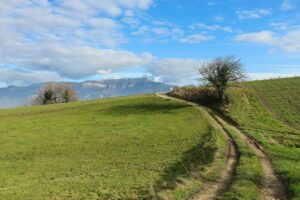 A winding country lane cuts through green hills beneath a bright blue sky and soft clouds, a calm, open-air countryside scene.