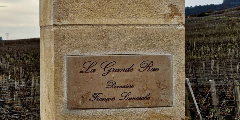 A stone pillar stands in front of the vineyard emblazoned with the domaine's name.