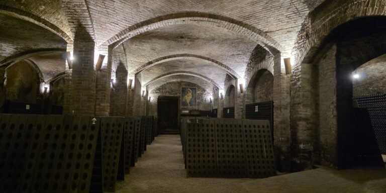 The cellar of a winery.
