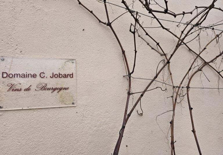 A wall-mounted sign Domaine G. Jobard Vins de Bourgogne beside dried vine branches on a textured wall