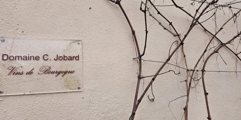 A wall-mounted sign Domaine G. Jobard Vins de Bourgogne beside dried vine branches on a textured wall