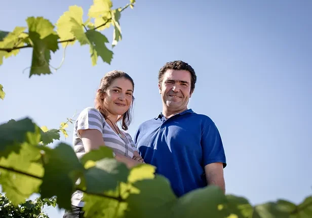 A man and woman stand amongst the vineyard of Domaine Gérard Tremblay on a clear, sunny day.