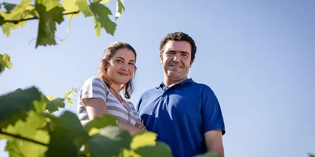 A man and woman stand amongst the vineyard of Domaine Gérard Tremblay on a clear, sunny day.