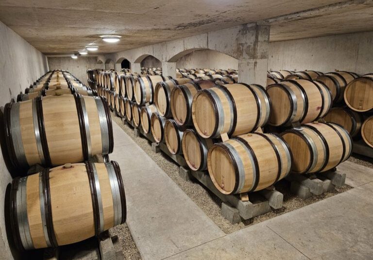 Rows of Burgundy wine barrels stored in a dimly lit, underground cellar with concrete walls and floor.