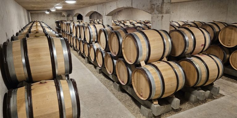 Rows of Burgundy wine barrels stored in a dimly lit, underground cellar with concrete walls and floor.