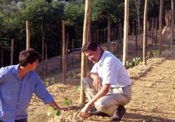 Two men survey the vineyards at Proprietà Sperino.