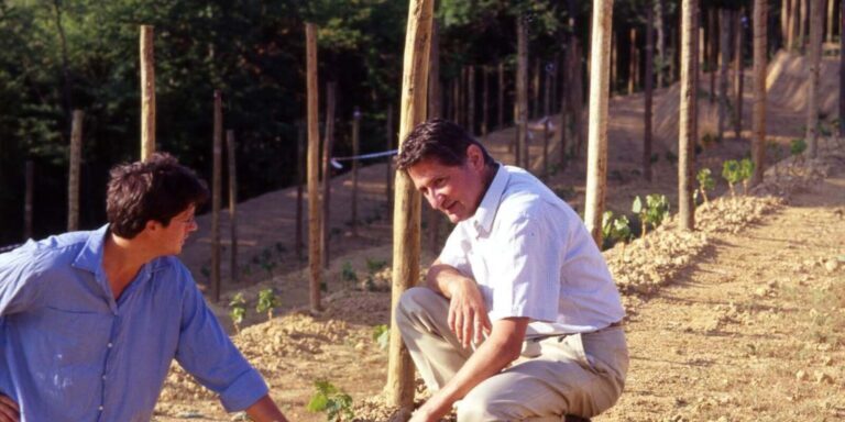 Two men survey the vineyards at Proprietà Sperino.