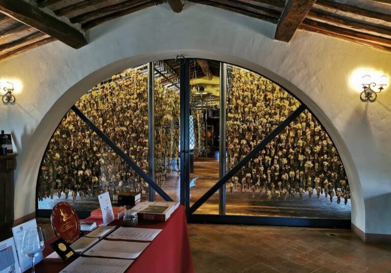 View through an arched doorway of a Tuscan wine cellar with numerous hanging wine glasses, table with wine bottles, and warm ambient lighting.