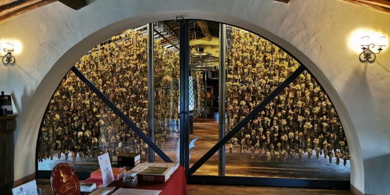 View through an arched doorway of a Tuscan wine cellar with numerous hanging wine glasses, table with wine bottles, and warm ambient lighting.