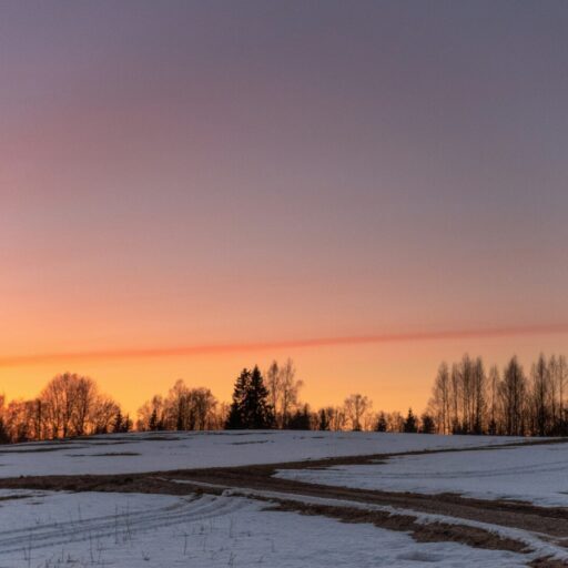 ainars-cekuls-EDGs26ZCwSE-unsplash