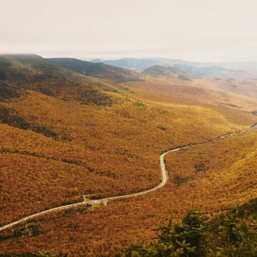 cloris-ying-8pVm3U2IzEk-unsplash