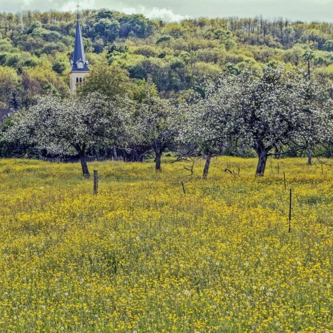 snap-wander-GTLTmhvjsQ4-unsplash