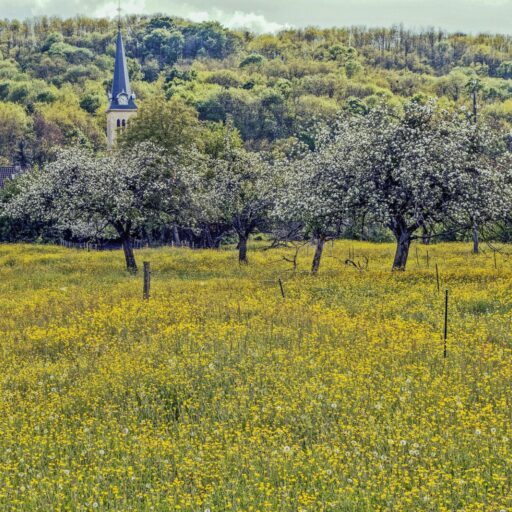 snap-wander-GTLTmhvjsQ4-unsplash