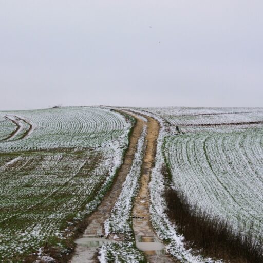 soazic-leroy-43BtPah7Sa4-unsplash