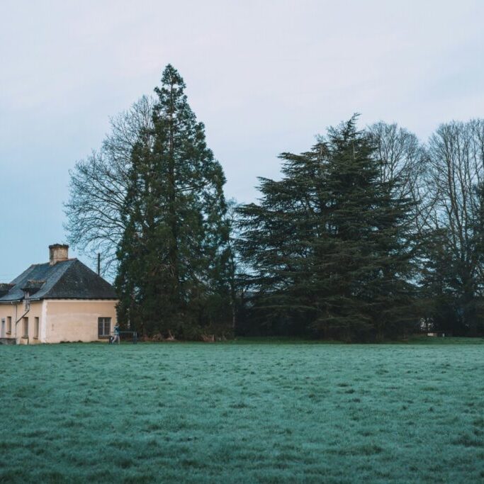 thanh-ly-y3WexuUo6Yk-unsplash