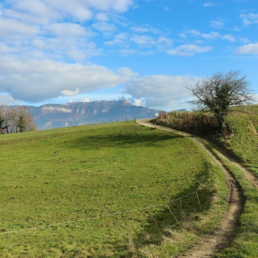 A winding country lane cuts through green hills beneath a bright blue sky and soft clouds, a calm, open-air countryside scene.